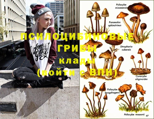 мяу мяу кристалл Армянск