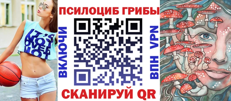наркотики  Валдай  Галлюциногенные грибы Psilocybe 